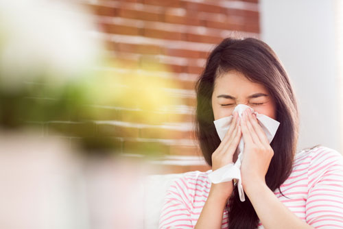 allergien